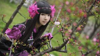 剑网三-万花萝莉 出镜：清眠yume