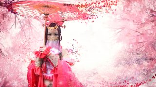 【剑网三】南皇七秀（伪正片） 出镜：羽毛
