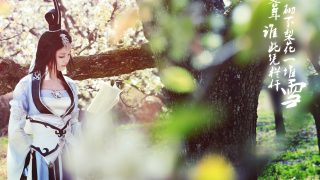 【剑网3】===梨花风起正清明,游子寻春半出城=== 出镜：戚顾儿