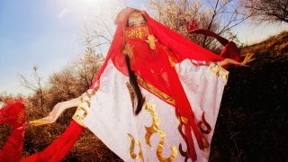 剑网3——陆烟儿 ——【念长安】 出镜：岑子