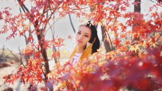 红叶丛中一抹黄 出镜：邝小瓷