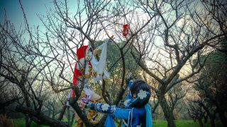 少年游 出镜：涟一-,小仓cang,离娄,九命