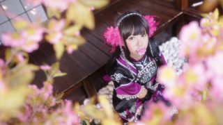 剑侠情缘网络版叁/蚩灵花萝 出镜：九九酱