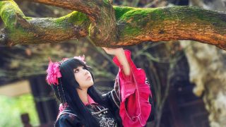 ☆为什么我是一只机智的花萝☆ 出镜：梳砸