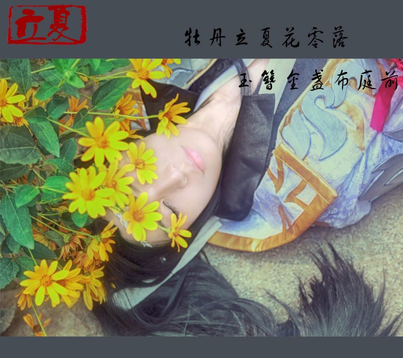 dbcb6310ae0011e49fbabd5e6f63a293