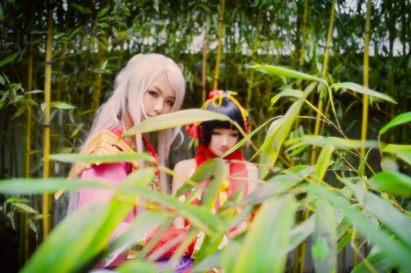 8af06b20a90511e4af0771738f36434d