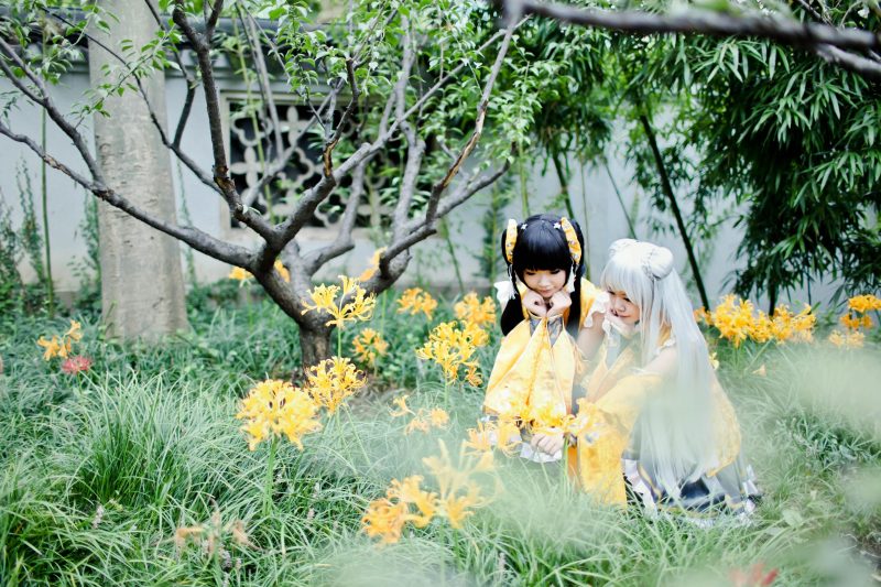 74a61660e68811e4a7453d0d23a482a3