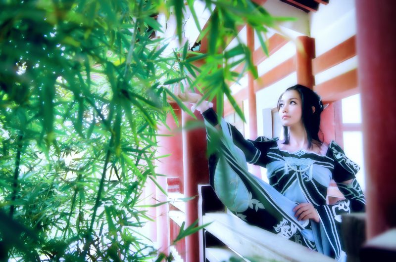 68ab2b80b9cd11e4a69b0dc546608551