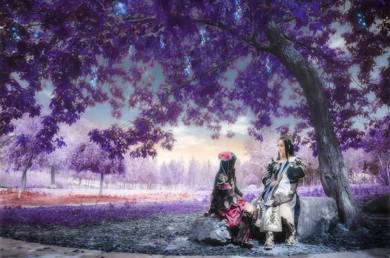 b340c1b0b9cc11e4a69b0dc546608551