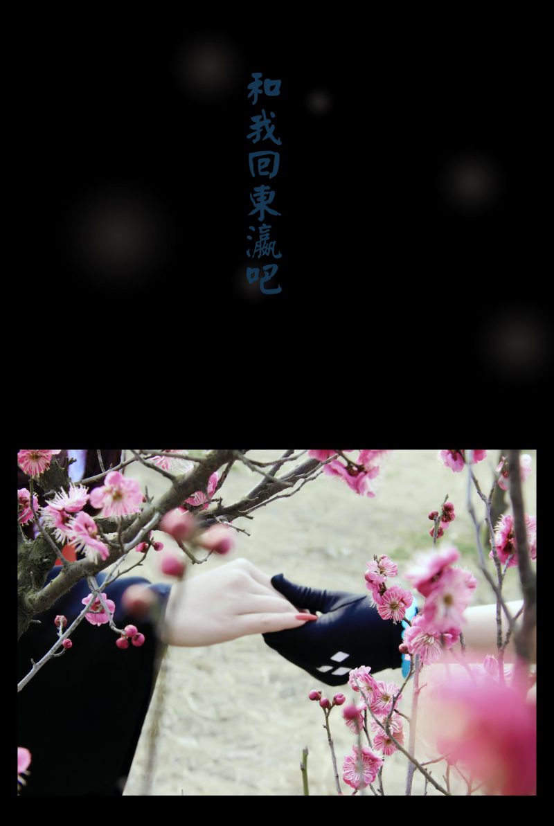 71d55150ab7b11e4a0a0b725ddb68bc9