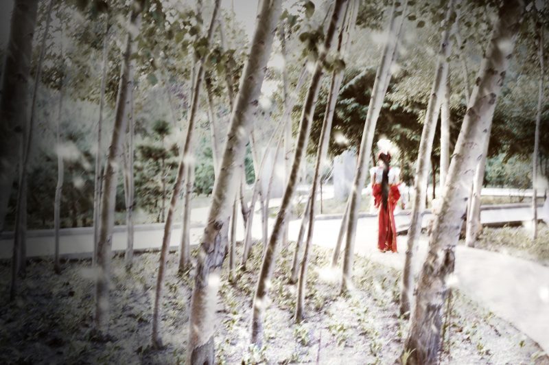 2dd259b0b2c111e4b1f8addd9aba9fa0