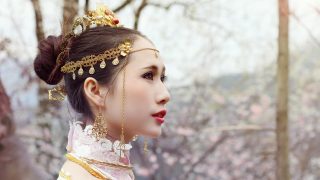 桃花红粉醉，柳树白云狂 出镜：毛兔