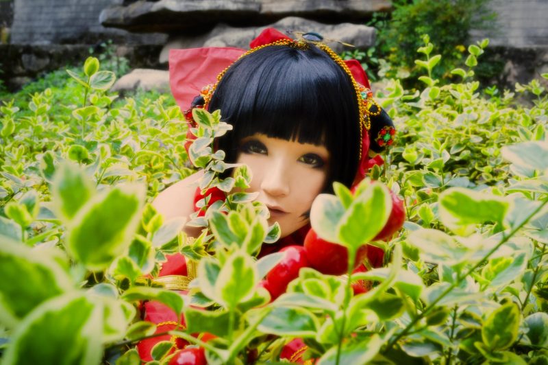 3f37ce30a90511e4af0771738f36434d