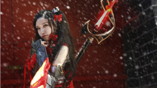 孑然一身，独赏四季；安邦定国，御侮捍身。 出镜：星幽