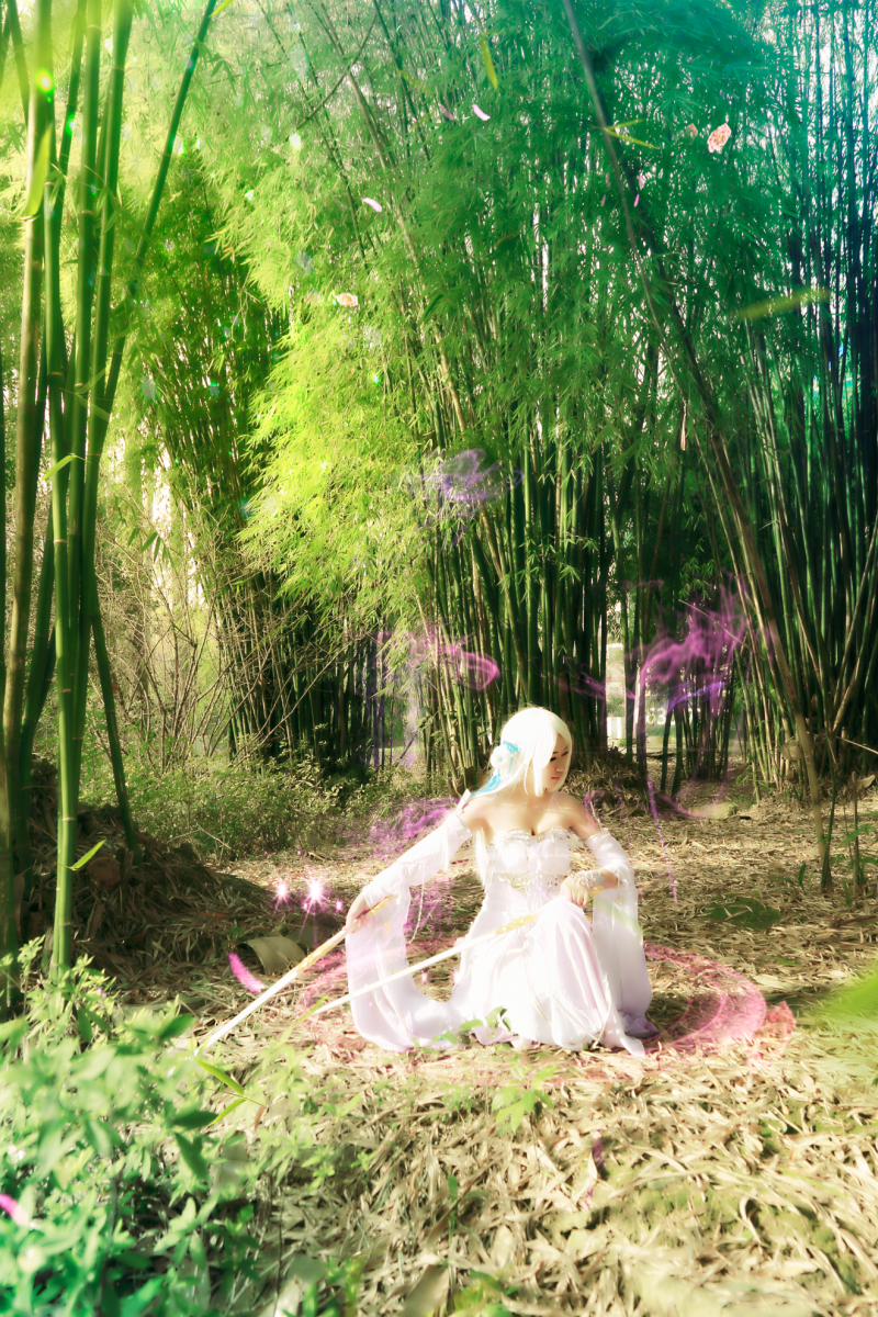 ddc50210e0f611e4b80dfde4b7ddf256