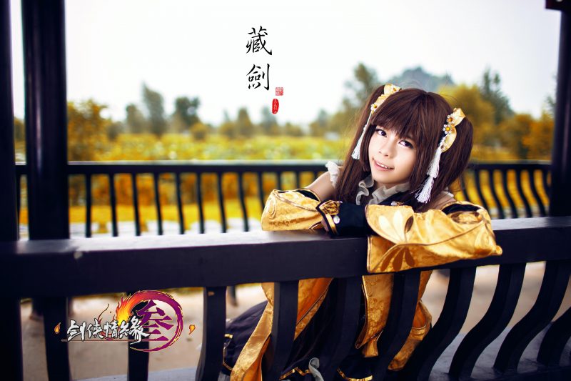 2ba40010a3af11e4ac2a41712176c69d