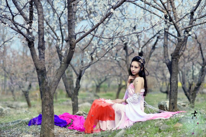 e77d8320ee5911e4877a97a6c23befde