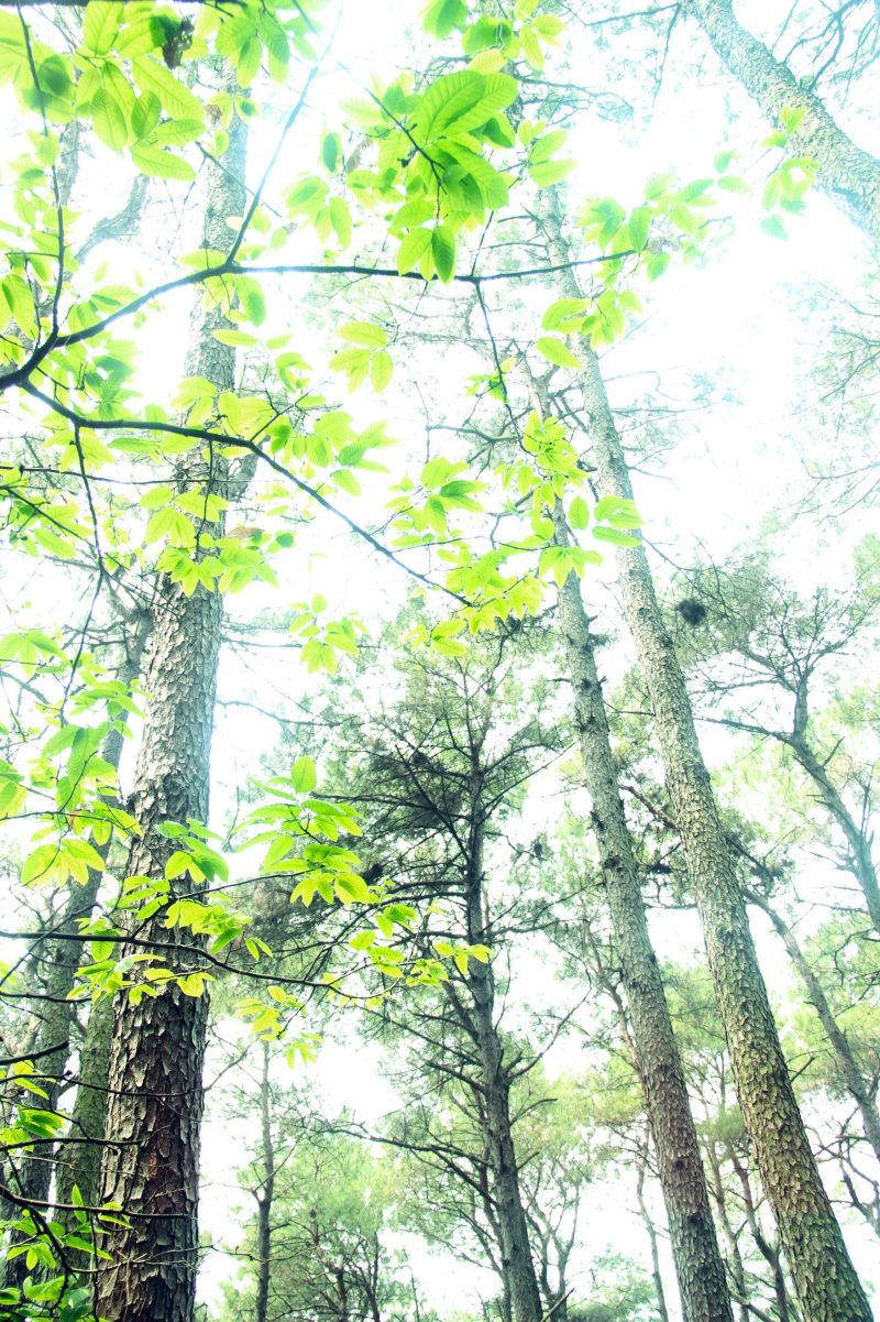 be0c5ba0ffb211e48fea07f767d45063