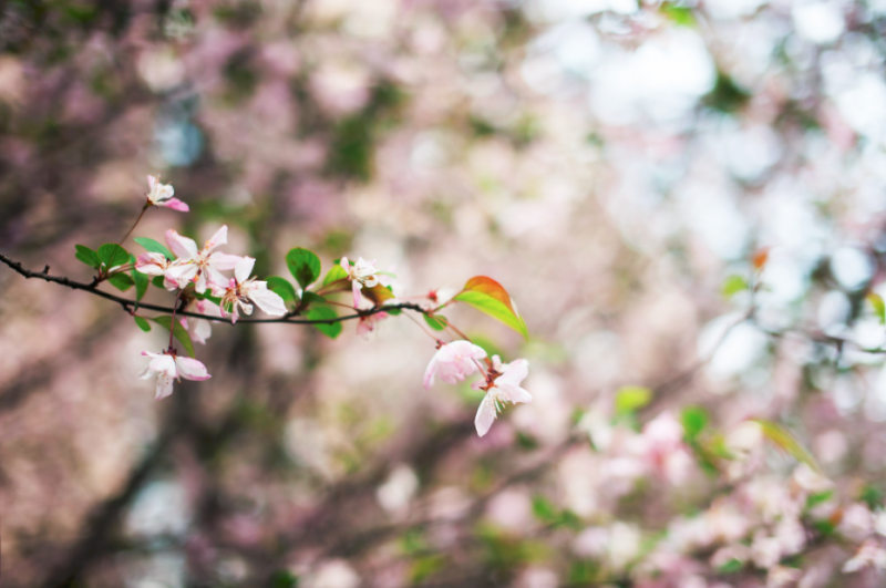 d55e000002e211e5b1e4b564e592f978