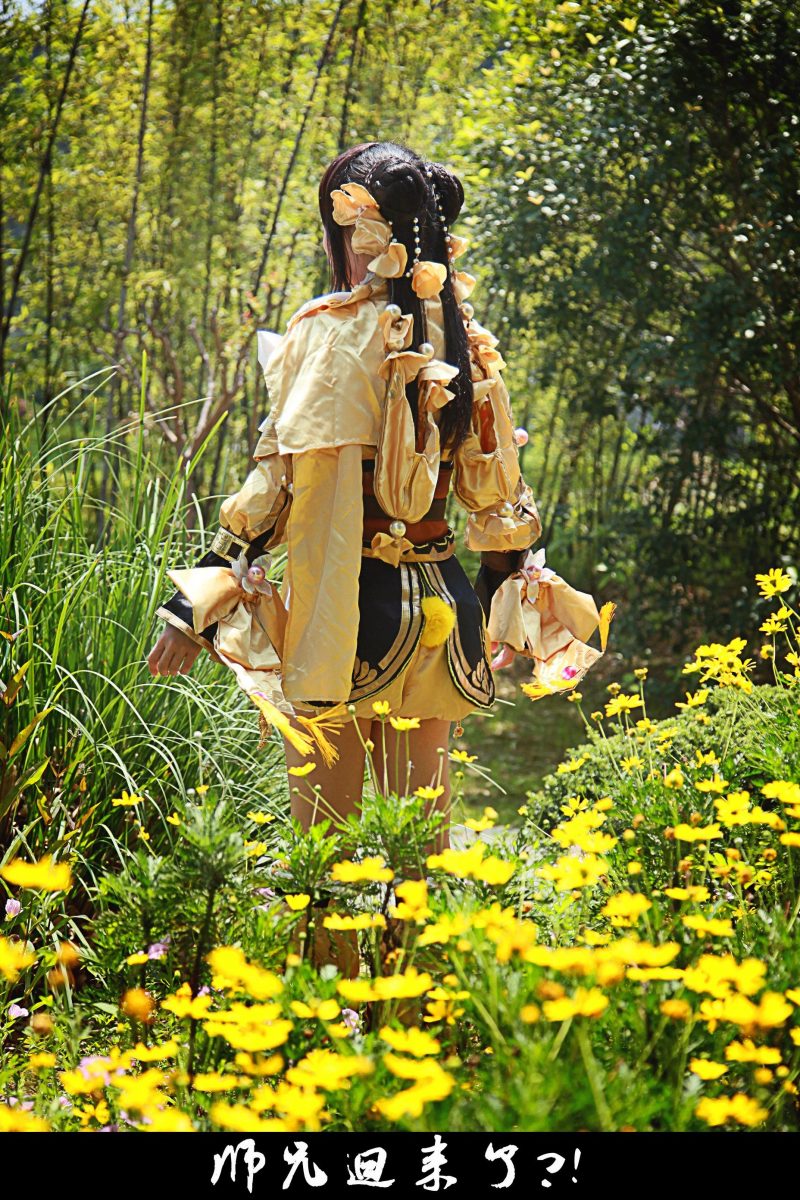 160e6f50ffd111e4bfc85b69f55729c9