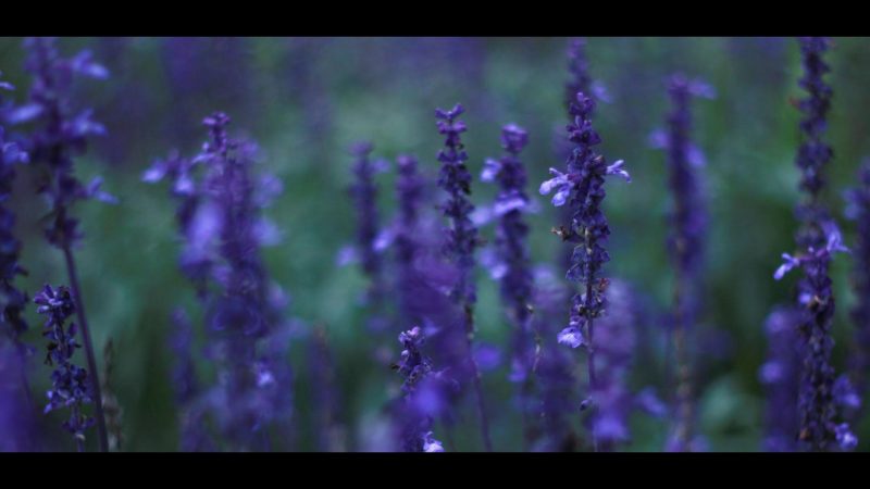 9b9369e0fbd611e492170d0f6a61049f