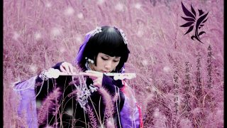 剑网三+++万花七秀++国破尤有山河在，昔颜闻歌未曾来 出镜：阿乌，草莓