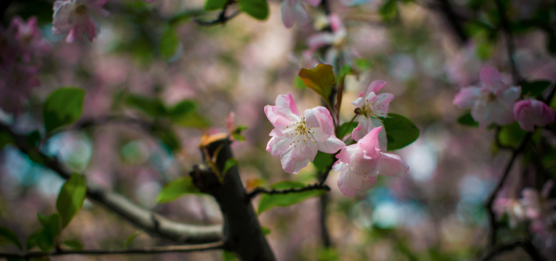 e36a310002e211e5b1e4b564e592f978