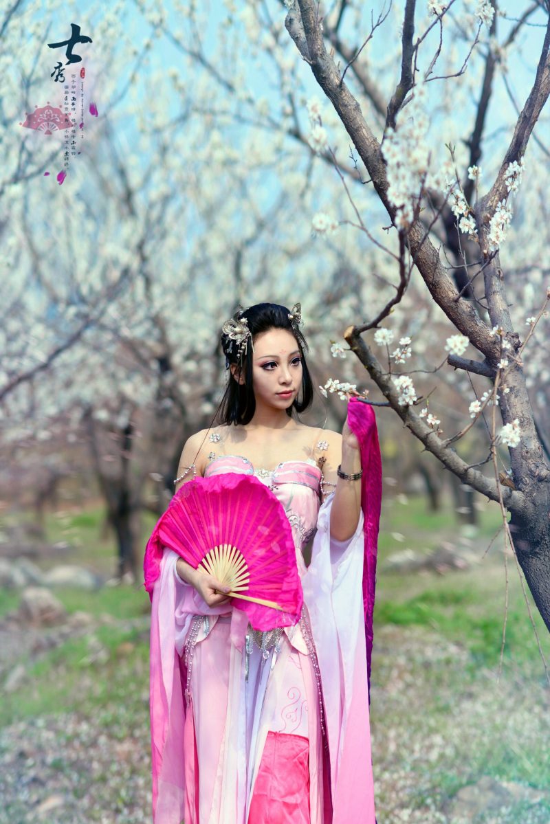 c81d2210ee5911e4877a97a6c23befde