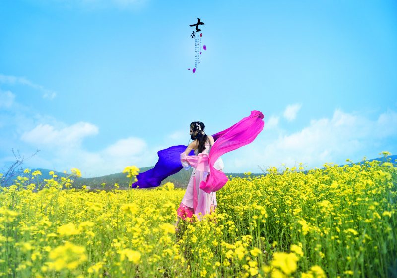 66aa37a0ee6011e4afcb230464d8c66f