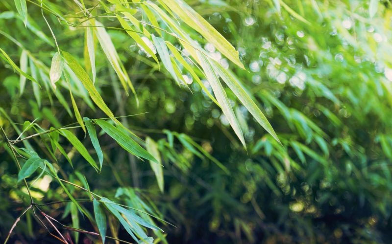 3e43311018bb11e5961097283dd37e0c