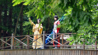 小树林 出镜：星星，执手，漠漠，待填