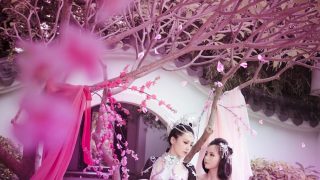 剎那·芳華 出镜：鲤末，暴力