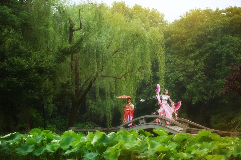 fe3193900e0711e593373f4a247da7ee