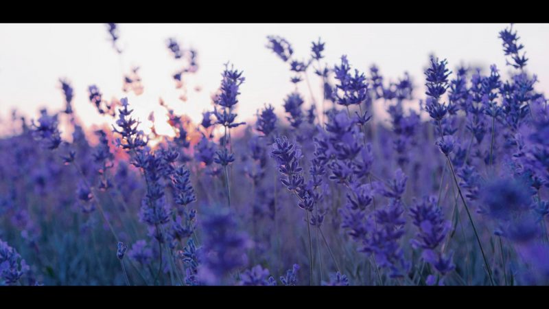 1c20c400fbd611e492170d0f6a61049f