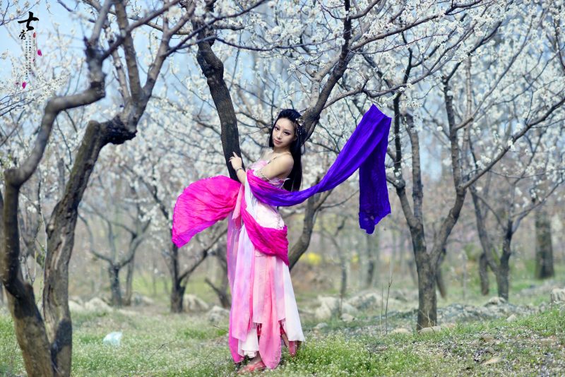 d51aa230ee5911e4877a97a6c23befde