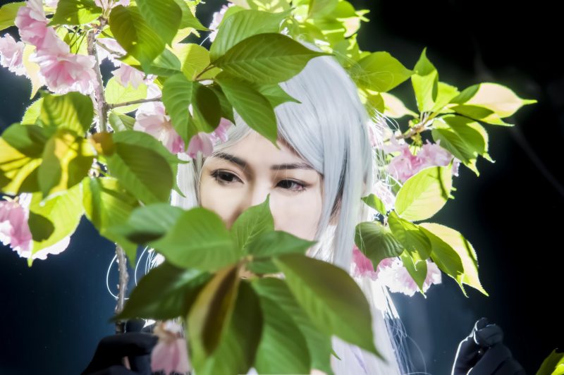 e6777a8003b211e5b59cfb474acf9478