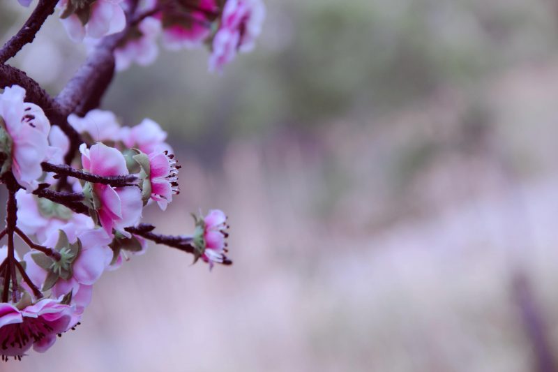 fc5da8d001d011e590dea5d6669f64fa