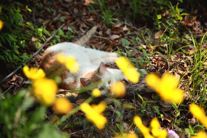 d9422a30ffd011e4bfc85b69f55729c9