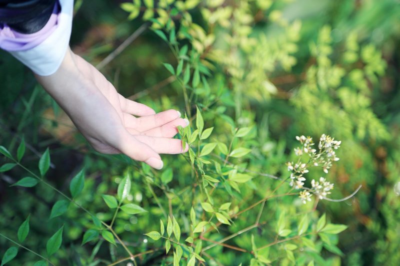 67fb46a018bb11e5961097283dd37e0c