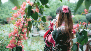 蚩灵花萝 出镜：稻荷