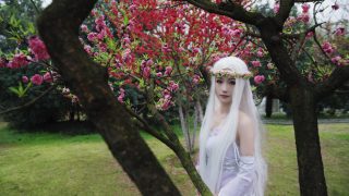 剑网三秦风秀姐 出镜：叶淮准