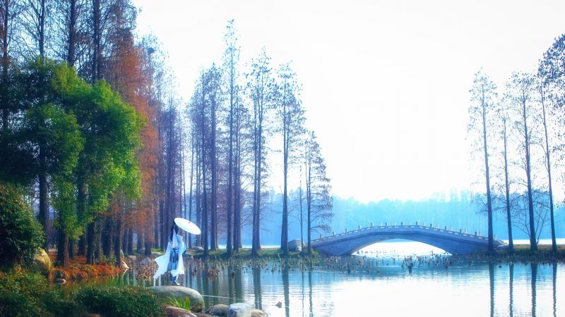 99c9f330133d11e58fc72968082b5f56