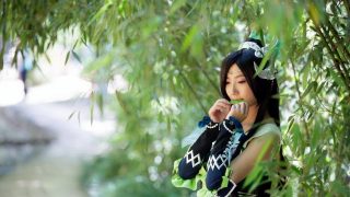 青身莫轻身，复心不负心 出镜：猫小猫菇