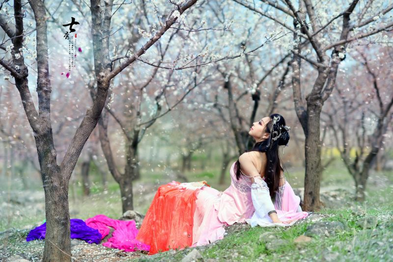 2701bc50ee5a11e4877a97a6c23befde