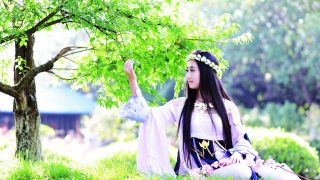 【云绕花隐沧海间】出镜：神魔井-陶仁