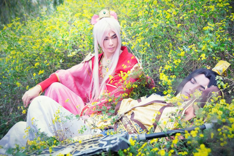 2904fb20f6c511e4aafd93f69d009864