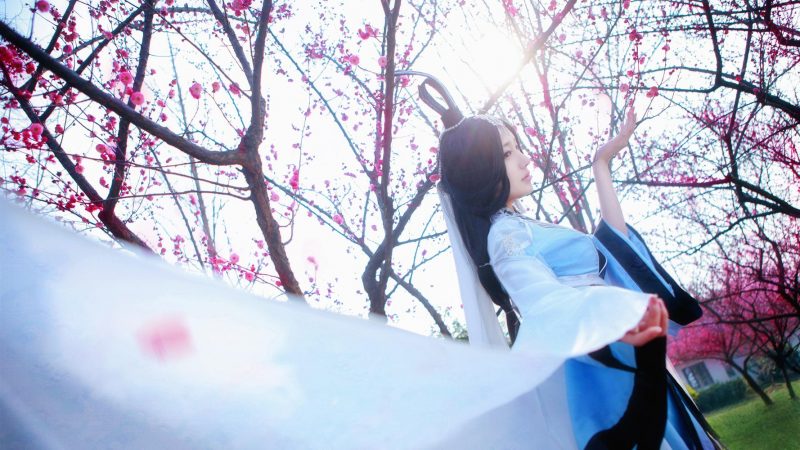 8b6edee0133d11e58fc72968082b5f56