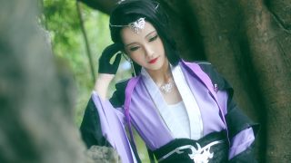 剑网3秦风万花 出镜：A澜