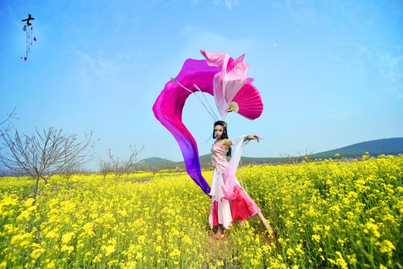 8ad1e4c0ee6011e4afcb230464d8c66f