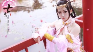 剑网三-七秀 出镜：神魔井-苏十六